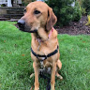 Meet your Posher, Arden